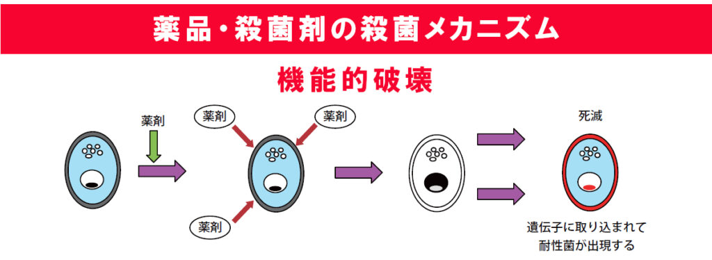 ラズリーラボ　オゾン水による殺菌のメカニズム２