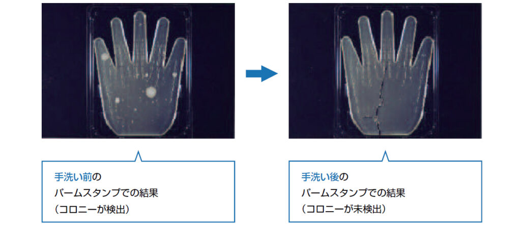 ラズリーラボ　パームスタンプを用いた手嘗の除菌効果の結果