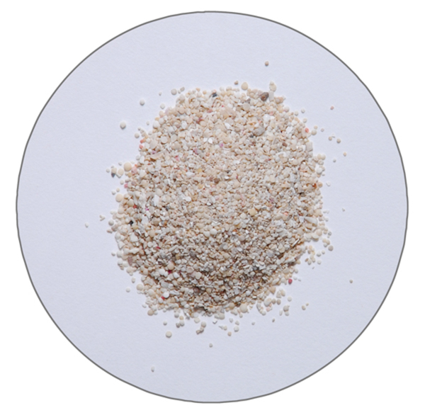 ラズリーラボ　コーラル